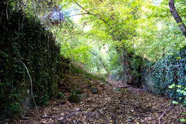 Parc de Mussonville de Begles (9).